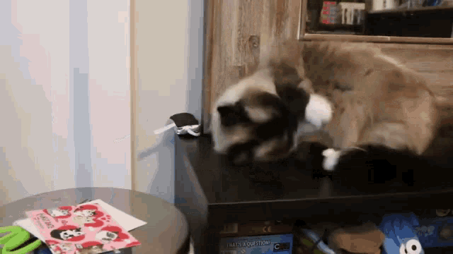 two cats are playing with each other on a table next to a card that says i love you .