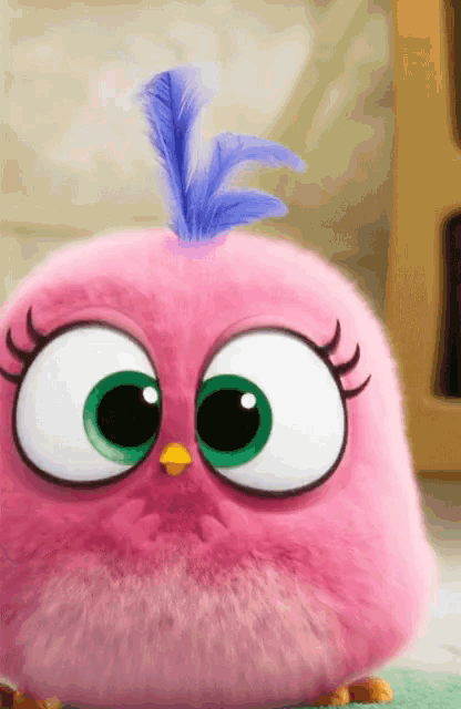 a pink angry bird with a blue feather in its hair
