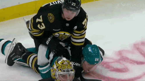 a hockey player with the number 73 on his jersey is laying on the ice