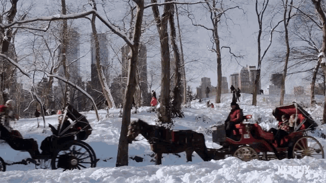 a horse drawn carriage in the snow with a netflix logo in the corner