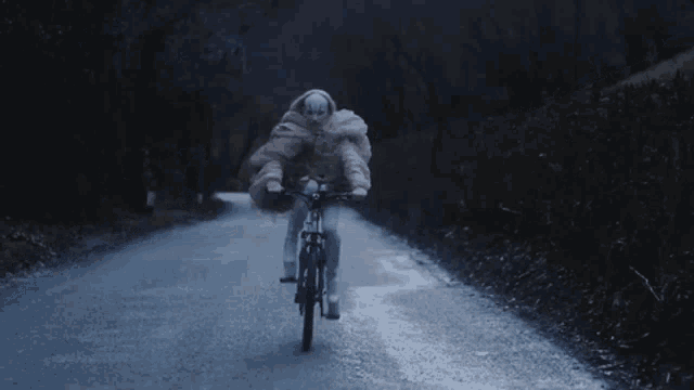 Extreme Beauty Bicycle GIF - Extreme Beauty Bicycle Go GIFs