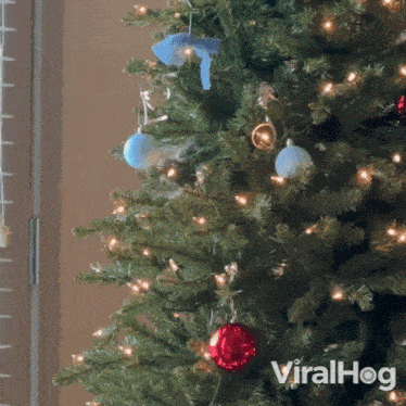 A Cat Is Playing With The Christmas Ornament Viralhog GIF