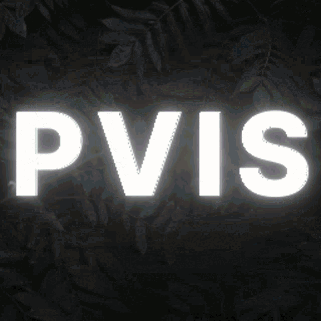 Pvis GIF - Pvis GIFs