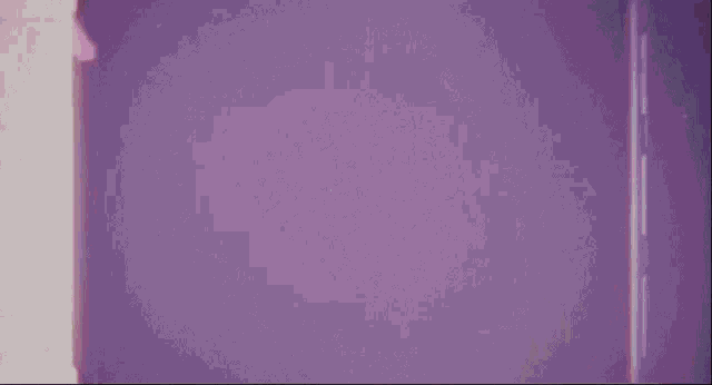 a purple background with the words " i know that " on it