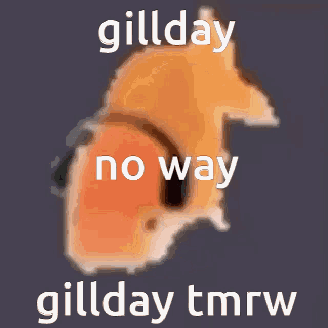 Gill Gillday GIF - Gill Gillday Fish GIFs