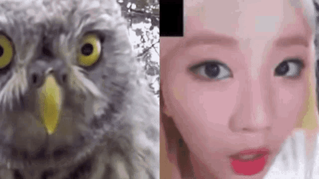 a close up of a woman 's face next to an owl .