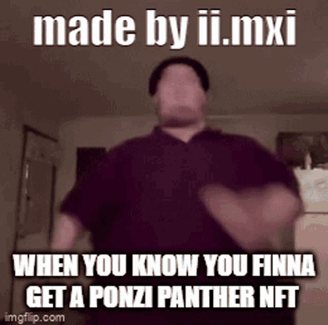 Ponzi Panthers GIF - Ponzi Panthers GIFs