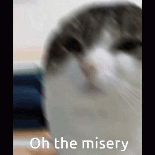 Oh The Misery High Def GIF - Oh The Misery High Def GIFs