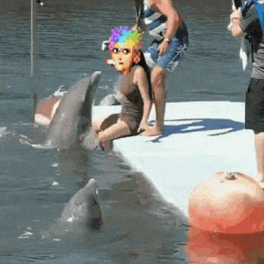 a woman is sitting on a dock with a dolphin in the background