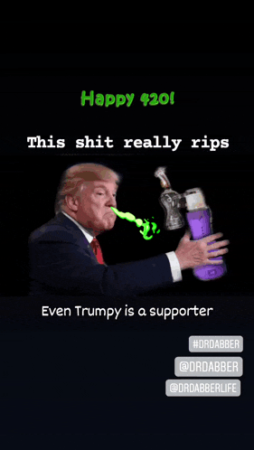 a cartoon of donald trump smoking a bong with the caption happy 420
