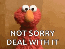 elmo from sesame street is standing in front of a brown wall and saying `` not sorry deal with it '' .