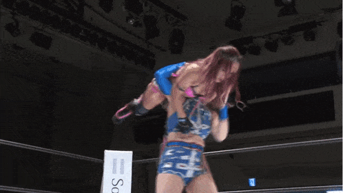 two women are wrestling in a ring with a crowd in the background .