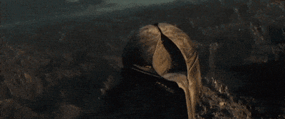 a blurred image of a person holding a sword in a dark area