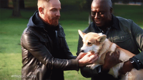 Cute Dog Captain Ray Holt GIF - Cute Dog Captain Ray Holt Andre Braugher GIFs
