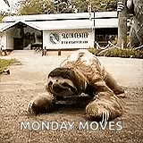 a sloth is laying on the ground in front of a building and a sign that says monday moves .