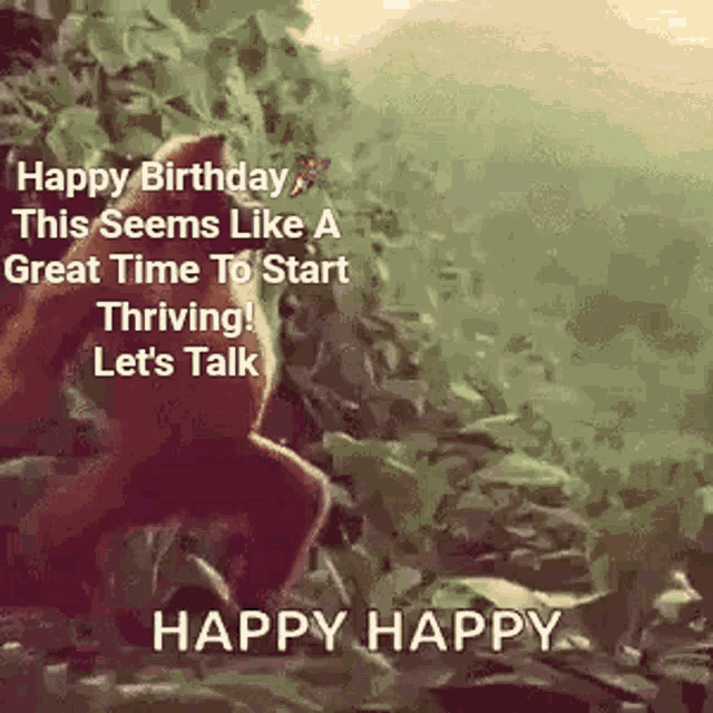 happy birthday this seems like a great time to start thriving let 's talk happy happy
