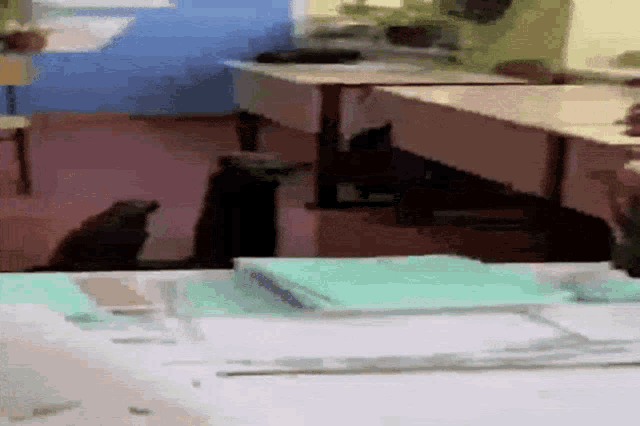 a black cat is sitting on a desk in a classroom .