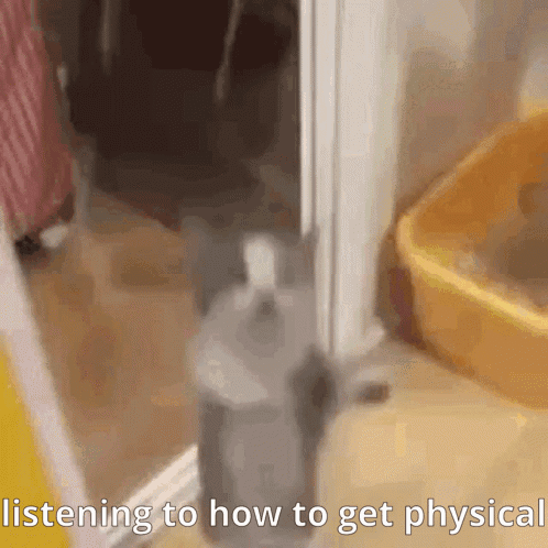 How To Get Physical Magdalena GIF