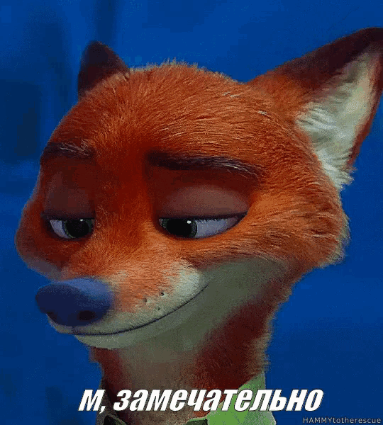 a close up of a fox 's face with a blue background and the words hammytotherescue on the bottom