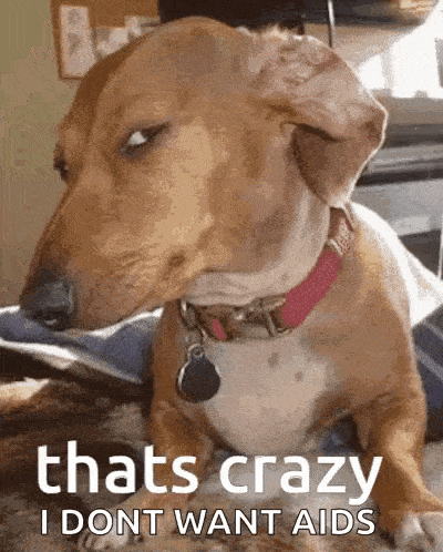 Crazy Thats GIF