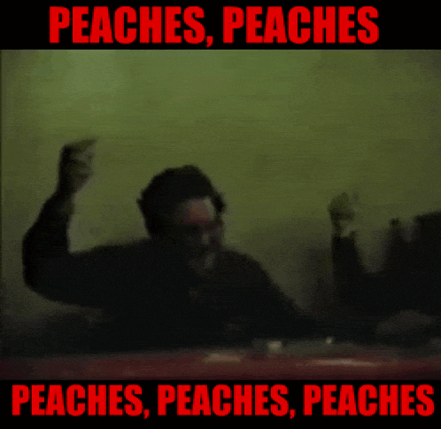 Terruko Peaches GIF - Terruko Peaches GIFs