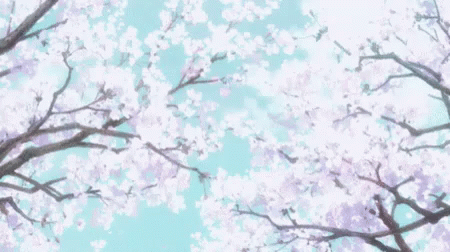 桜が落ちる　桜吹雪  枯れる　春 わびさび GIF - Sakura Fubuki Cherry Blossoms GIFs