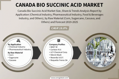 Canada Bio Succinic Acid Market GIF - Canada Bio Succinic Acid Market GIFs