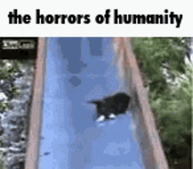 The Horrors Of Humanity Horror GIF - The Horrors Of Humanity Horror Horrors GIFs