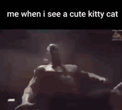 Me When I See A Cute Kitty Cat Cat Meme GIF - Me When I See A Cute Kitty Cat Cat Meme Oraacat GIFs