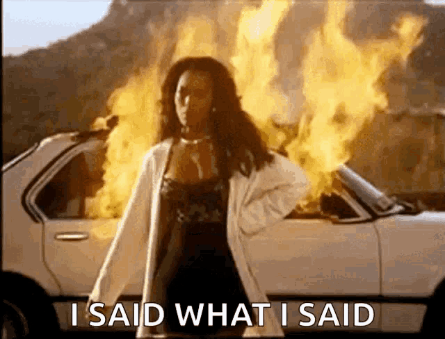 a woman is standing in front of a burning car and says i said what i said .