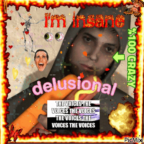 a poster that says i 'm insane and delusional
