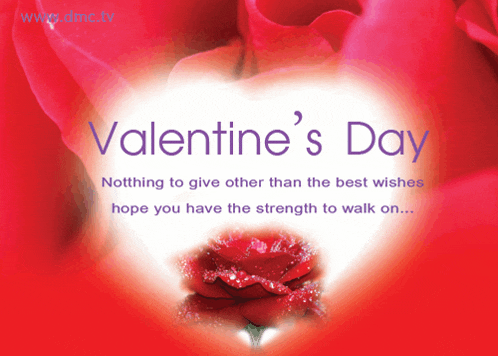 a valentine 's day greeting card with a red rose