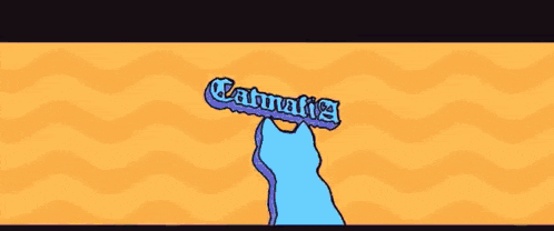 a cartoon cat is standing in front of a sunset with the words " catnatic " on it