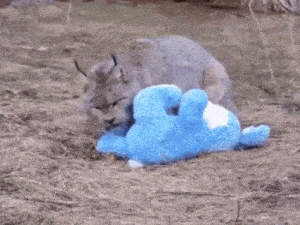 a stuffed animal is laying on the ground with a rabbit