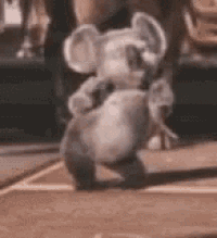 a stuffed koala bear is standing on its hind legs on a sidewalk .