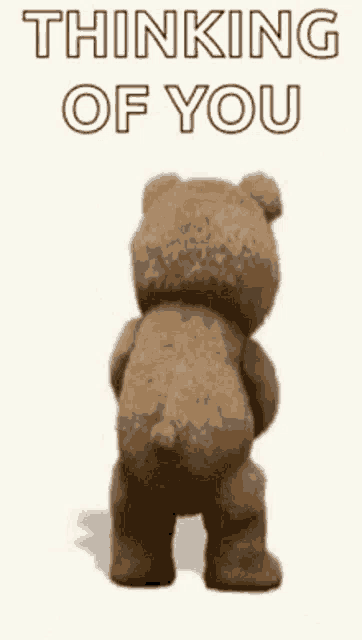a teddy bear is standing in front of a white background with the words `` thinking of you '' written on it .
