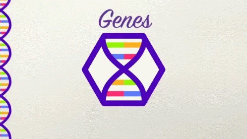 Genes Genetica GIF - Genes Genetica Ciencia GIFs