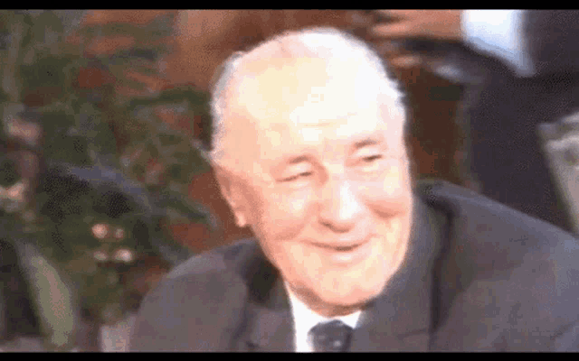 a man in a suit and tie smiles while sitting in front of a plant