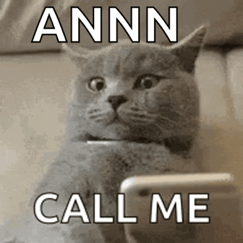 a cat is looking at a cell phone with the words annn call me above it