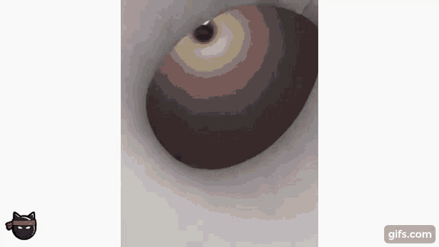 Hungry Cat GIF