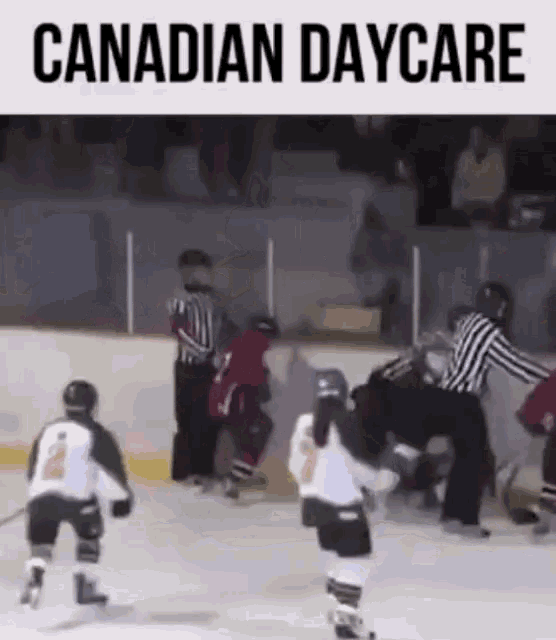 Ice Hockey Candian Daycare GIF - Ice Hockey Candian Daycare Canada Jokes GIFs