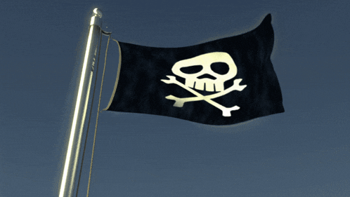 a flag with a skull and crossbones on it