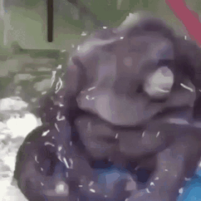 a close up of a person 's face covered in a purple liquid