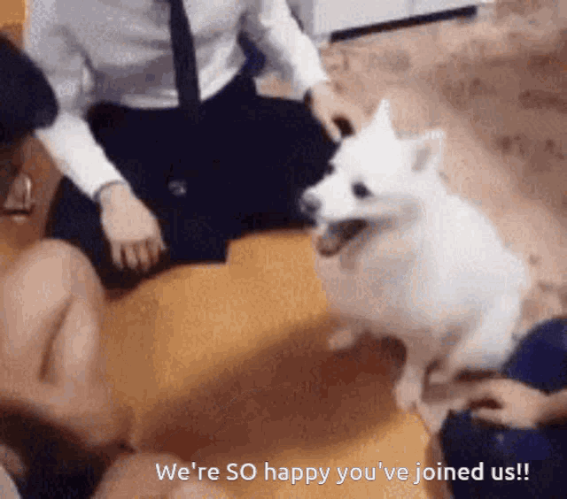 Happy You Joined Us Dog GIF - Happy You Joined Us Dog Cute GIFs