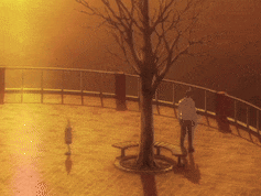 a man and woman are standing under a tree on a balcony