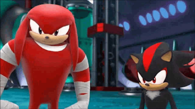 knuckles the echidna and shadow the hedgehog are standing next to each other in a video game .