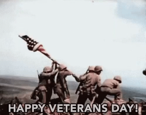 Salute History GIF - Salute History Veterans GIFs