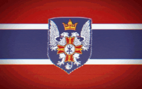 a shield with two eagles and a crown on it