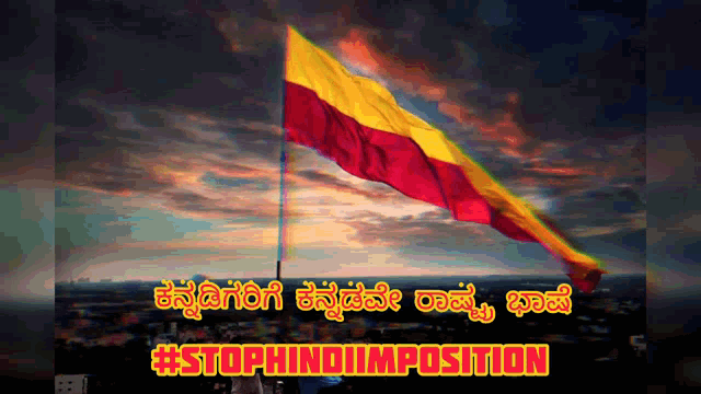 Stop Hindi Imposition South India GIF - Stop Hindi Imposition Hindi Imposition South India GIFs