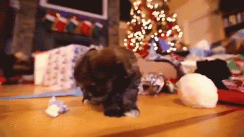a dog is standing on a table in front of a christmas tree and a fireplace